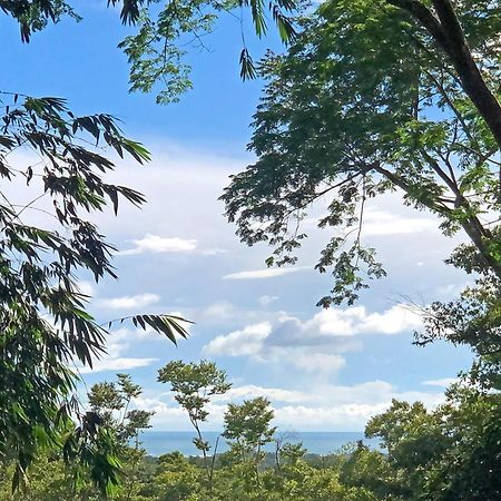 Cascada Verde Hostel أوفيتا المظهر الخارجي الصورة