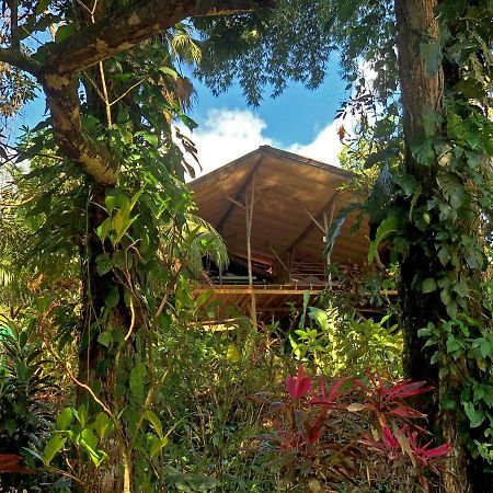 Cascada Verde Hostel أوفيتا المظهر الخارجي الصورة