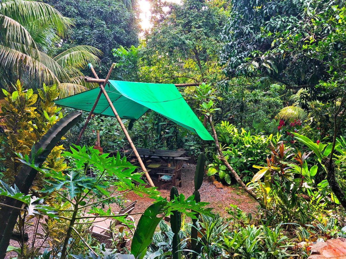 Cascada Verde Hostel أوفيتا المظهر الخارجي الصورة