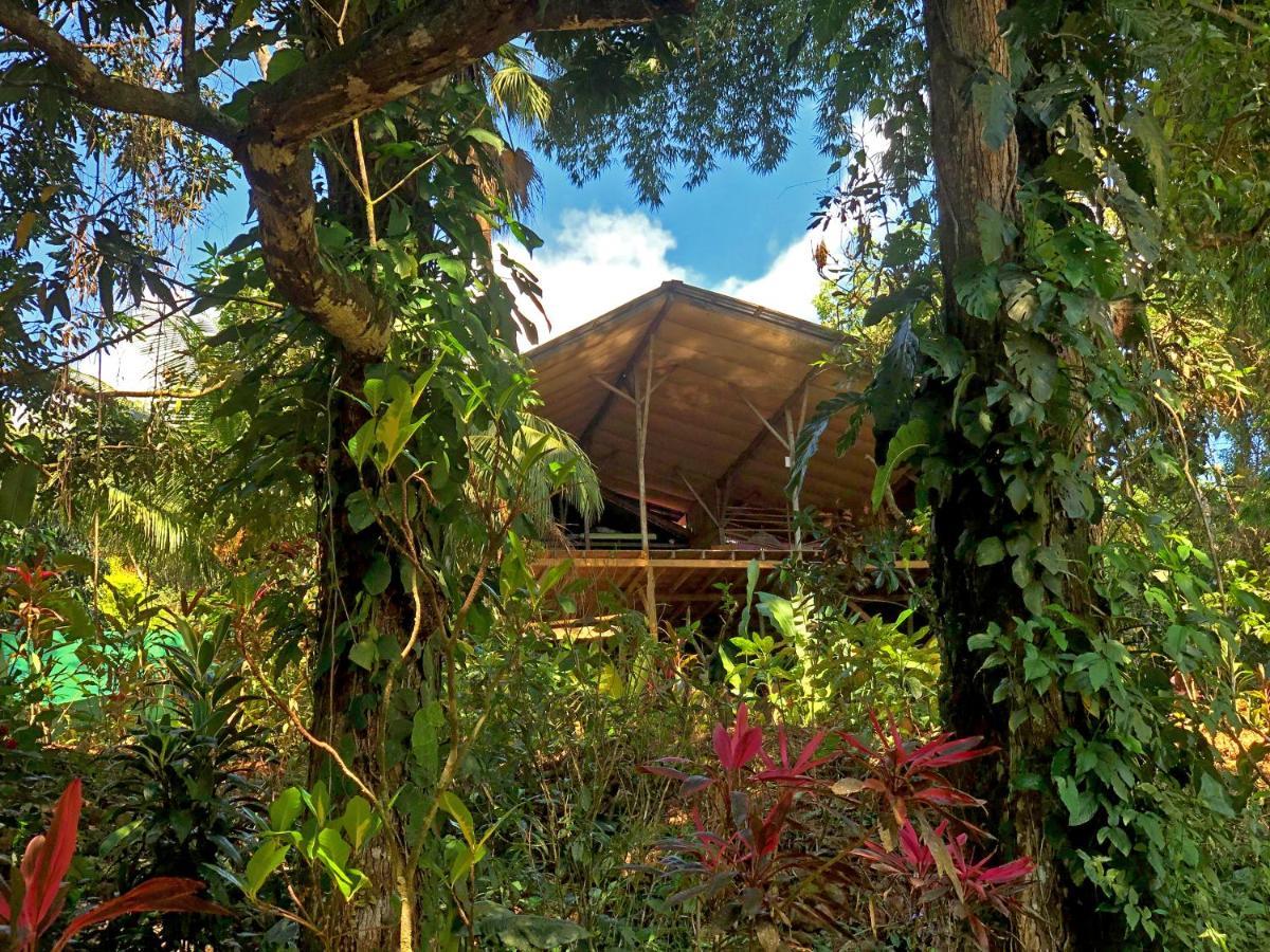 Cascada Verde Hostel أوفيتا المظهر الخارجي الصورة